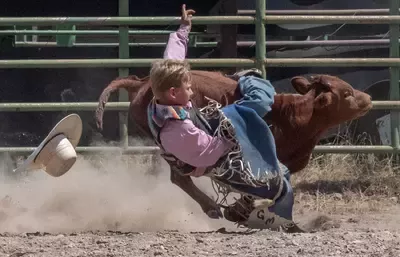 Future Bull Rider