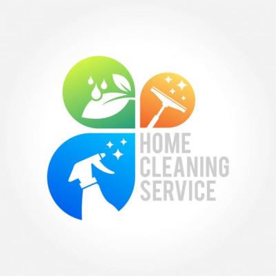 Home Cleaning Icon Image