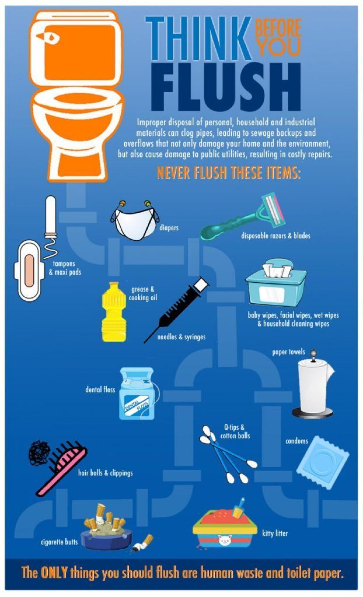Think before you flush